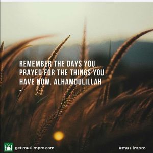 Meet your Posher, Baloch